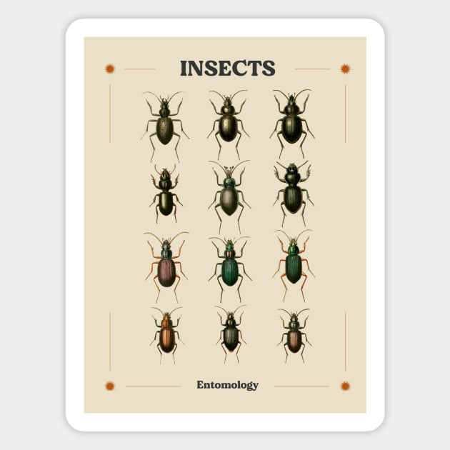 Insects II Magnet by Balmont ☼